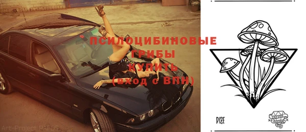 прущий лед Алексин