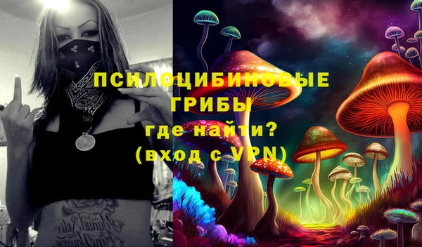 прущий лед Алексин
