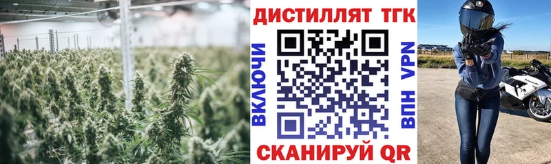 ТГК THC oil  Мураши 
