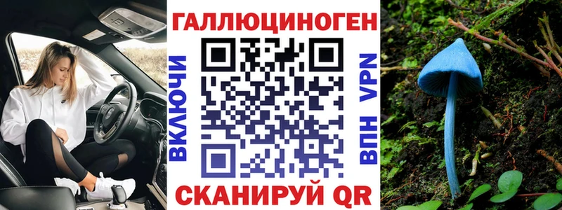 наркотики  Мураши  Псилоцибиновые грибы Psilocybe 